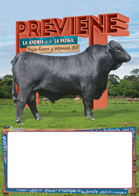Almanaque Carnes Papel 1/8 